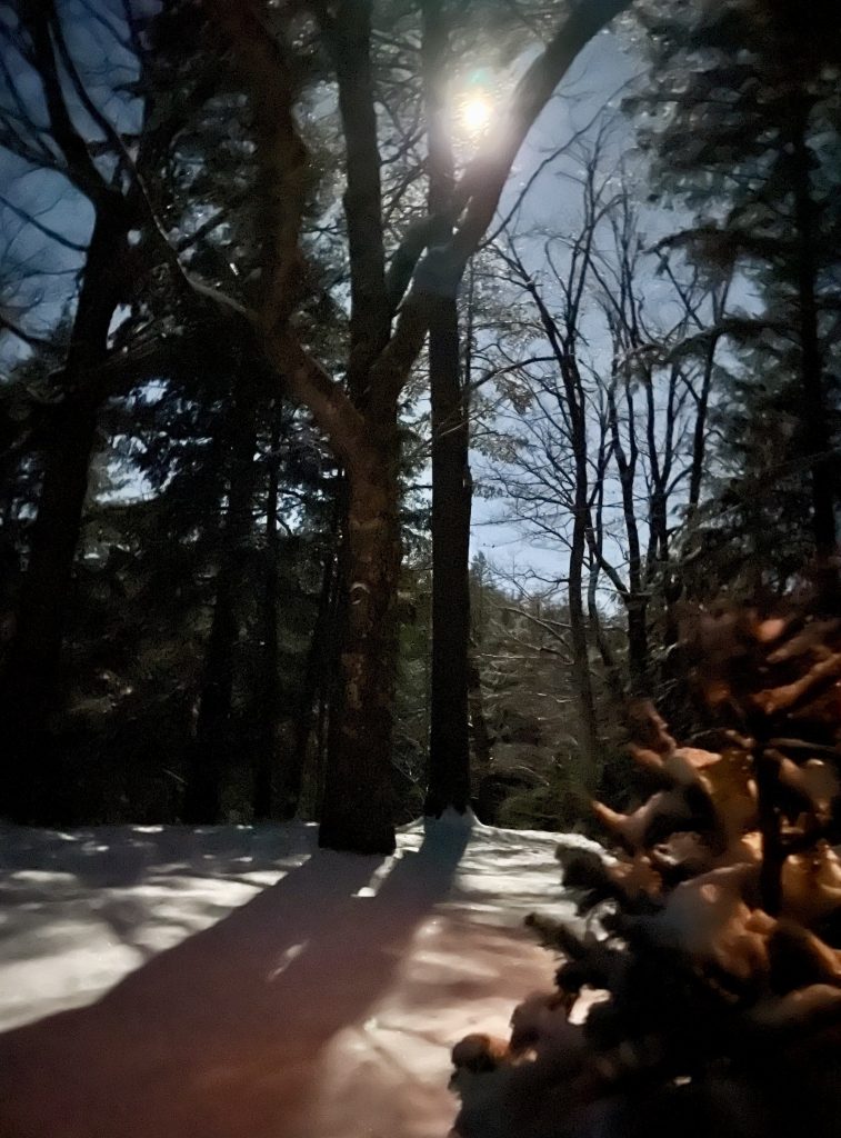 self-reflection reflective_educator