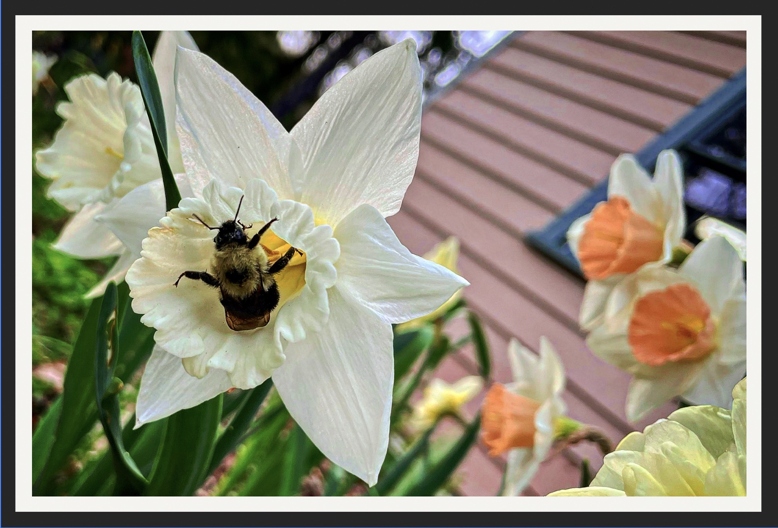 Jen Stanchfield Reflection Postcard